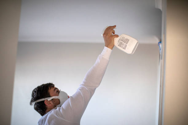 Best Certified Mold Removal  in Heceta Beach, OR