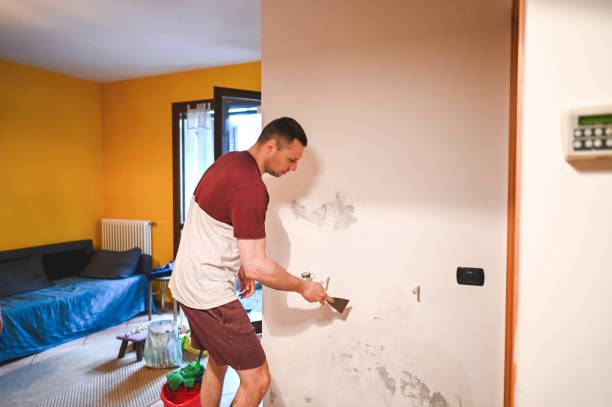 Mold Removal Process in Heceta Beach, OR