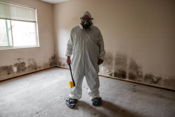 Best Mold Removal Process  in Heceta Beach, OR